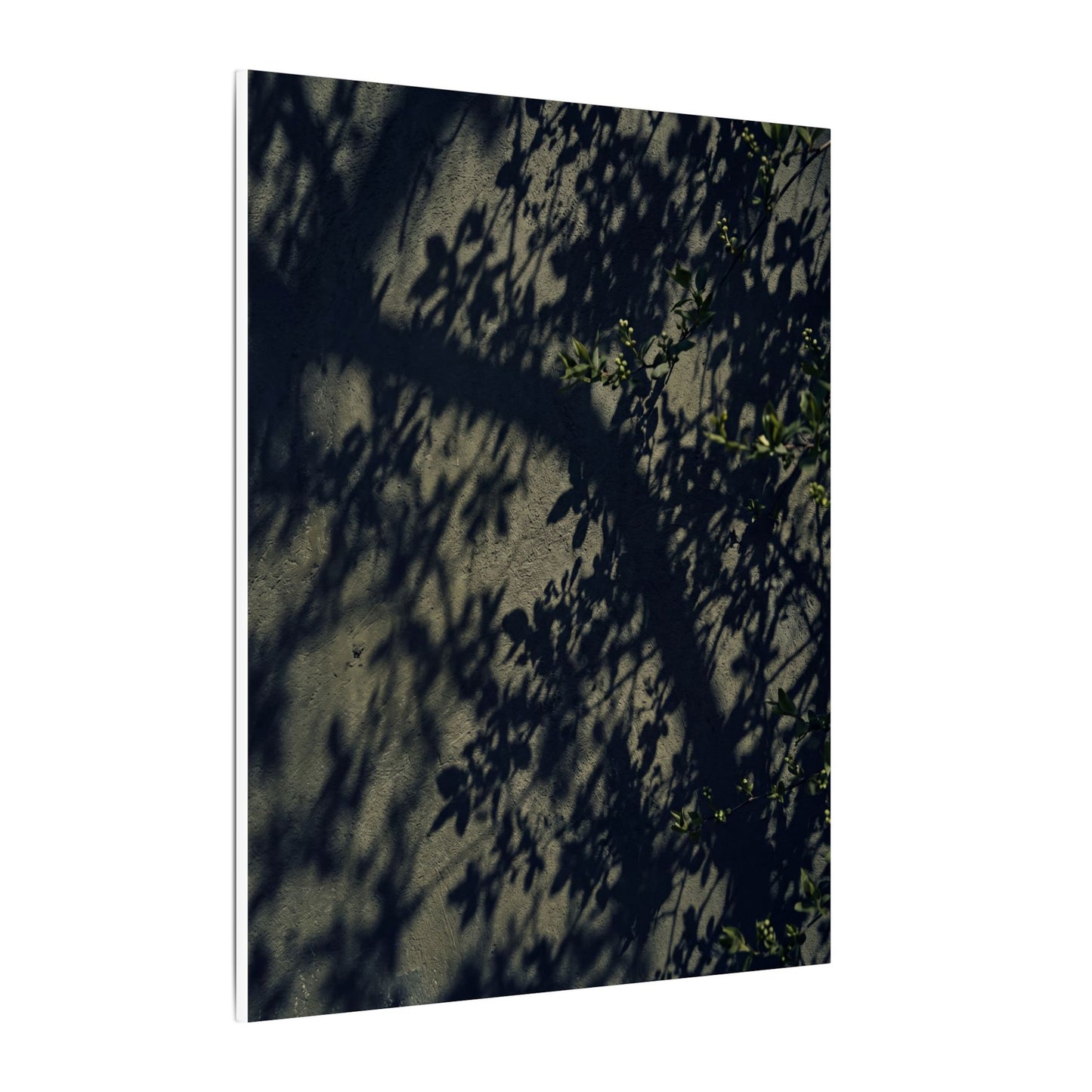 Atmospheric Shadow Play Canvas Art - Moody Minimal Dark Japandi