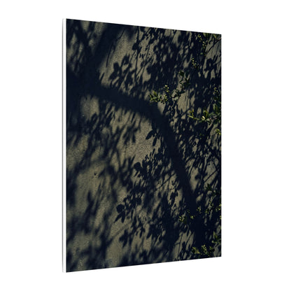 Atmospheric Shadow Play Canvas Art - Moody Minimal Dark Japandi