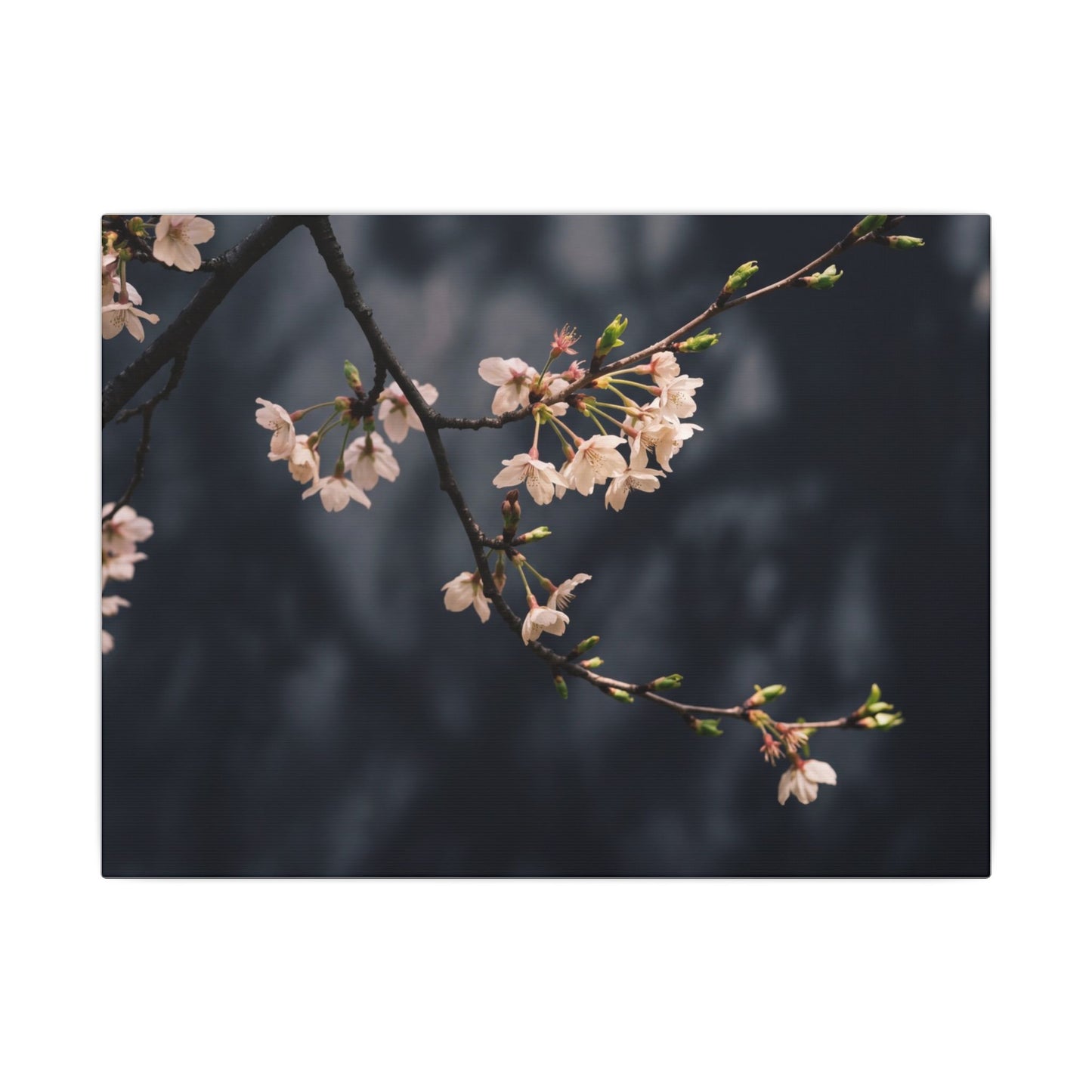 Cherry Blossom Moody Minimal Canvas Art | Bold Dark Japandi Art