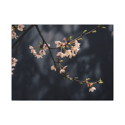 Cherry Blossom Moody Minimal Canvas Art | Bold Dark Japandi Art