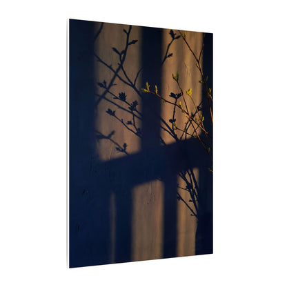 Shadow Play Canvas Art | Spring Dark Japandi Shadow Zen Art