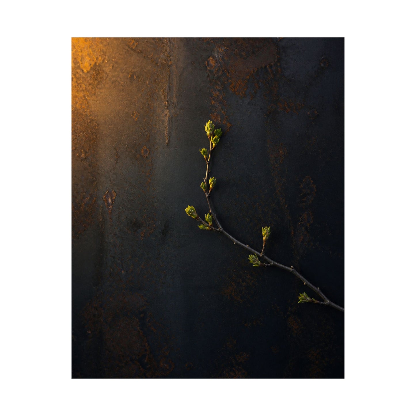 Bold Rust Patina Wall Art Print - Moody Minimal Dark Japandi
