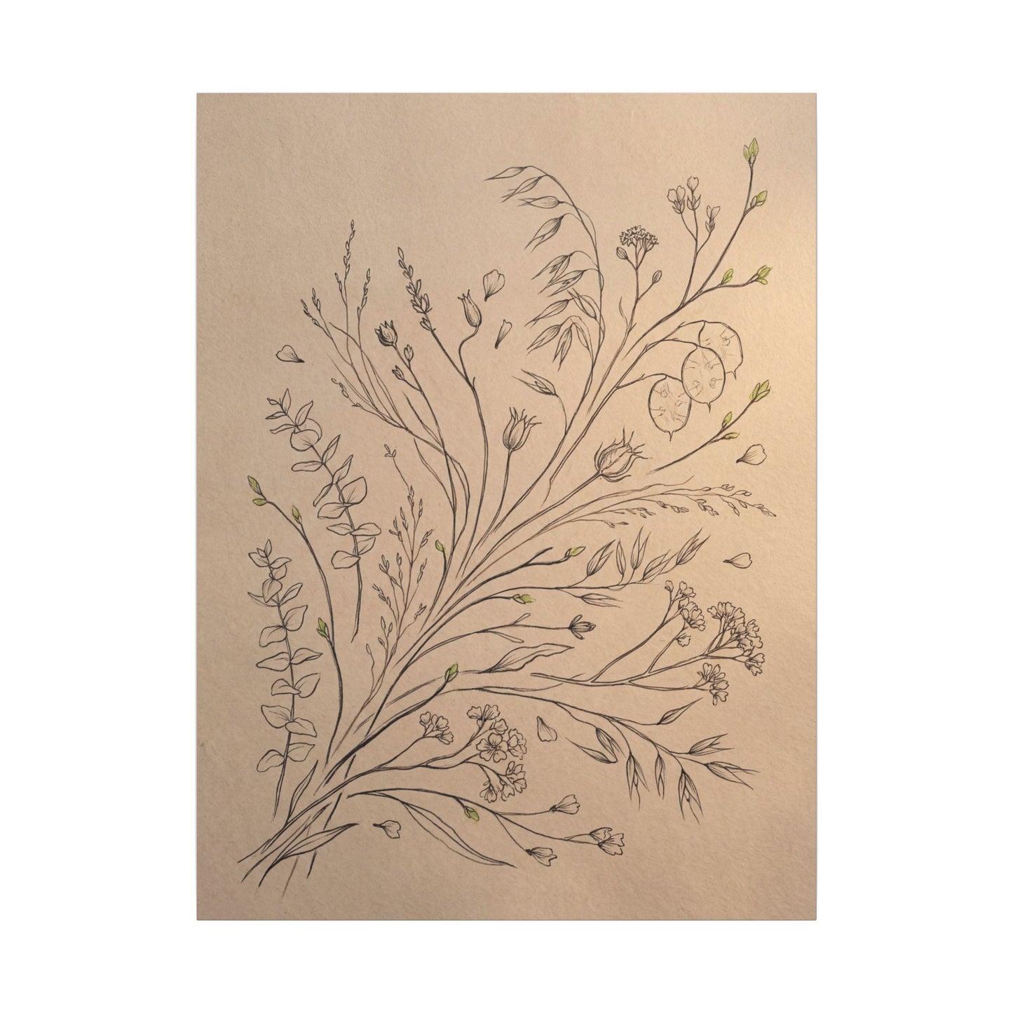 Dried Flowers Canvas Art | Spring Japandi Minimal Line Art