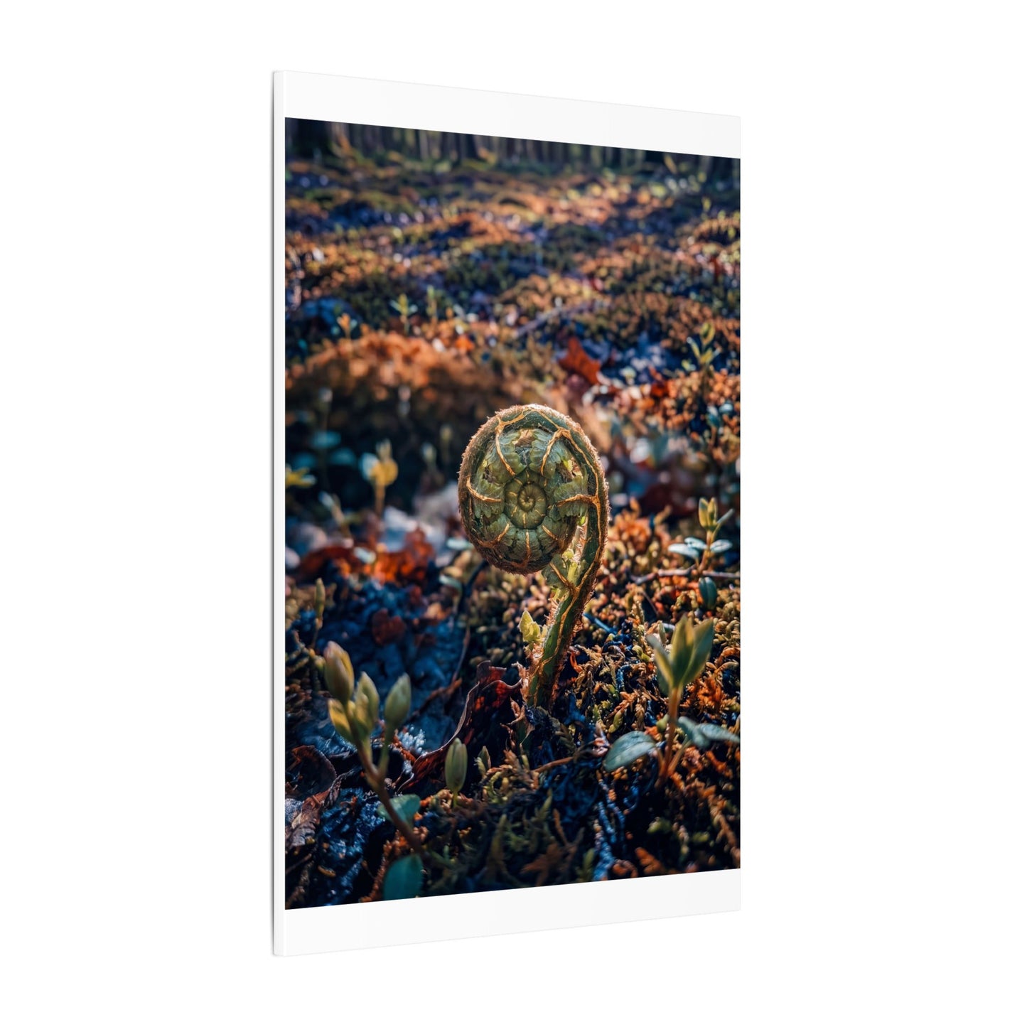Kintsugi Fern Unfurling in Dappled | Gold Vein Canvas Art