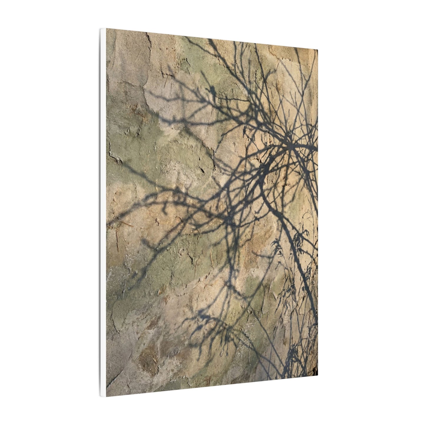 Japandi Shadow Play in Golden Hour | Texture Canvas Art