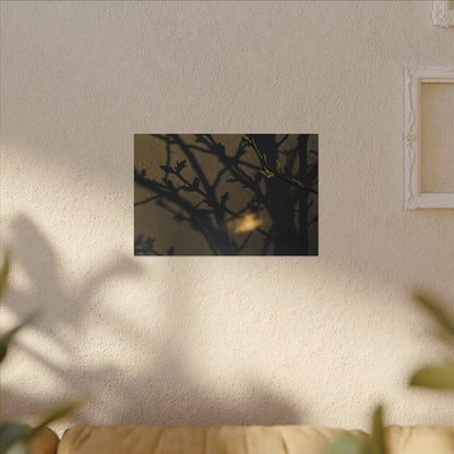 Bold Shadow Play Canvas Art - Moody Minimal Dark Japandi
