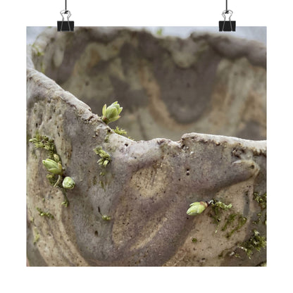 Overcast Ceramic Bowl Wall Art Print - Japandi Fukinsei