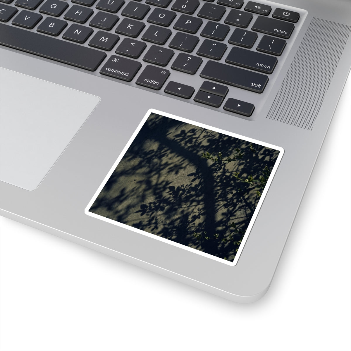 Dark Japandi Shadow Play in Dappled | Moody Minimal Sticker
