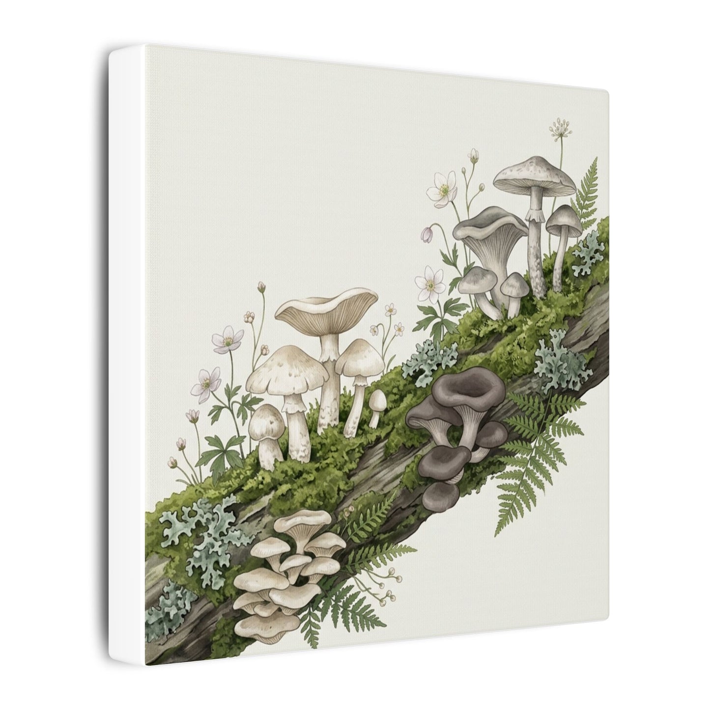 Dappled Wild Mushrooms Canvas Art - Japandi Ma