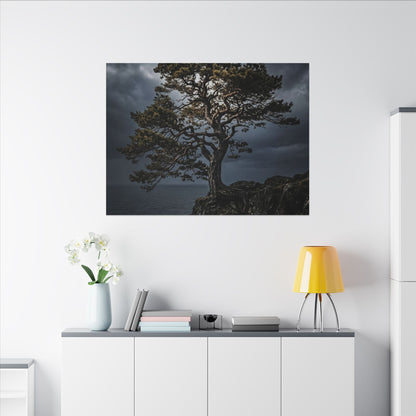 Dappled Pine Tree Canvas Art - Dark Japandi Fukinsei