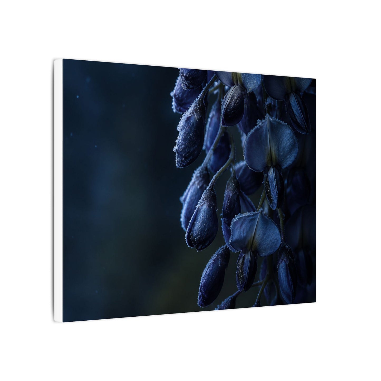 Winter Wisteria Shadow Zen Canvas Art | Atmospheric Decor