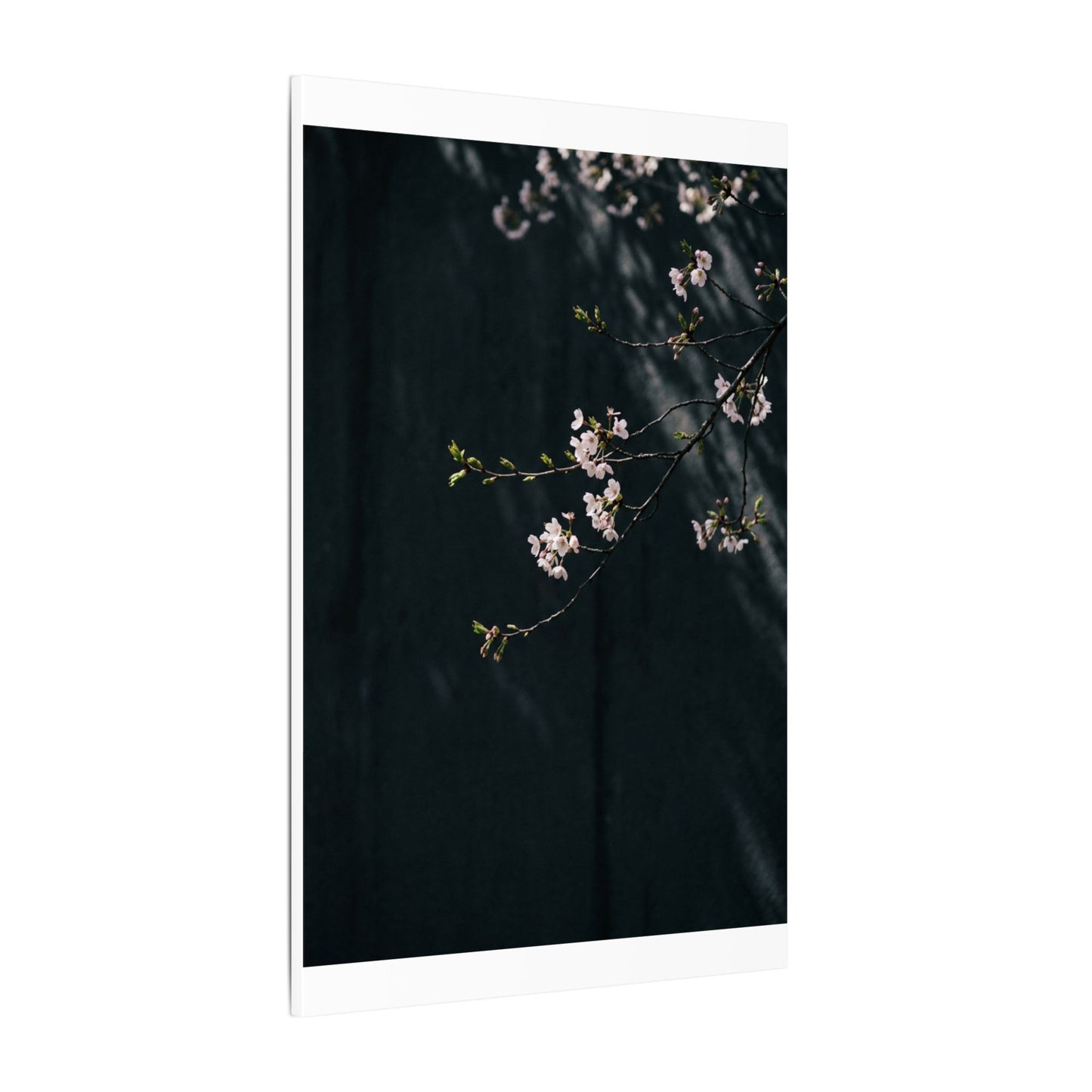 Cherry Blossom Spring Canvas Art | Dark Japandi Sophisticated Design