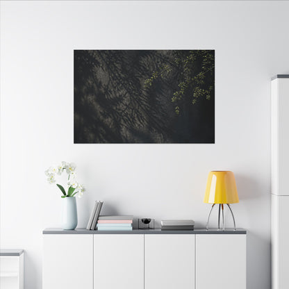 Overcast Shadow Play Canvas Art - Dark Japandi Seijaku