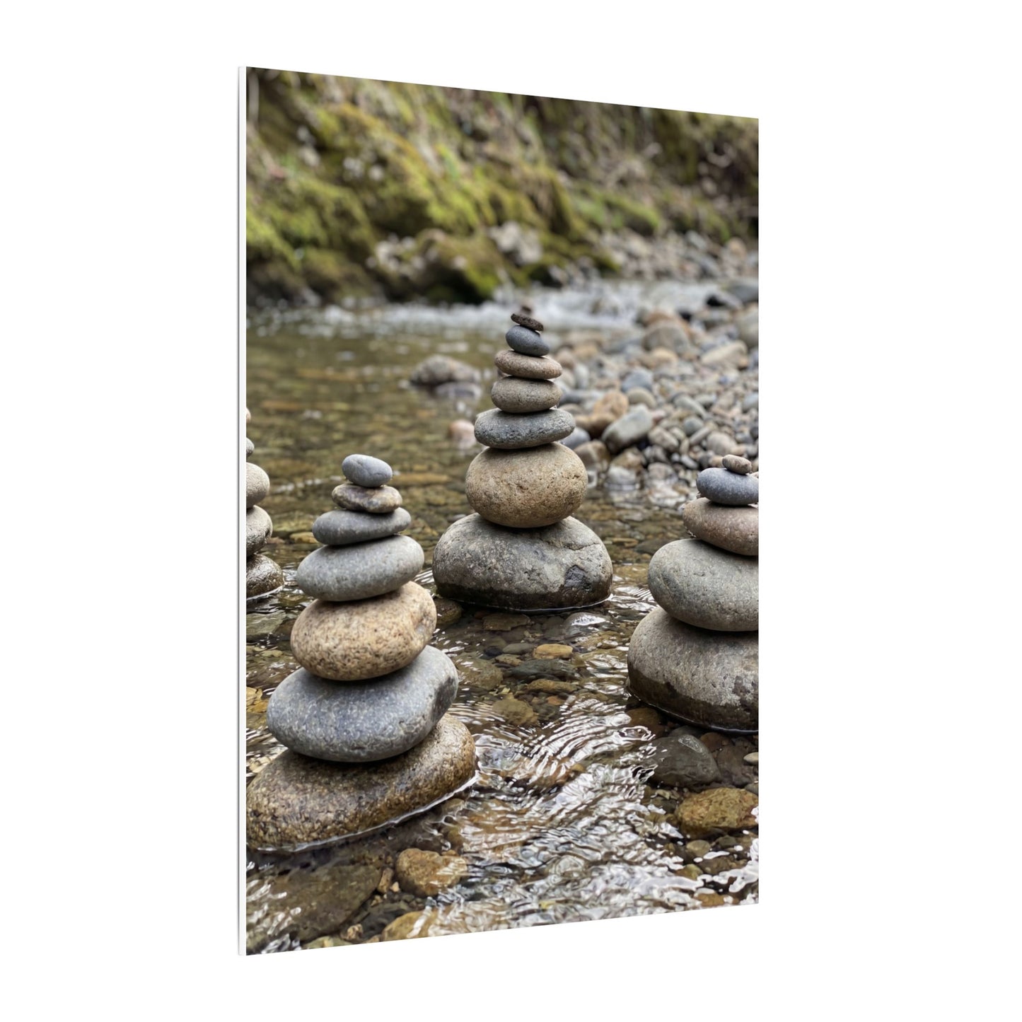 Bamboo Grove Winter Canvas Art | Zen Serene Design