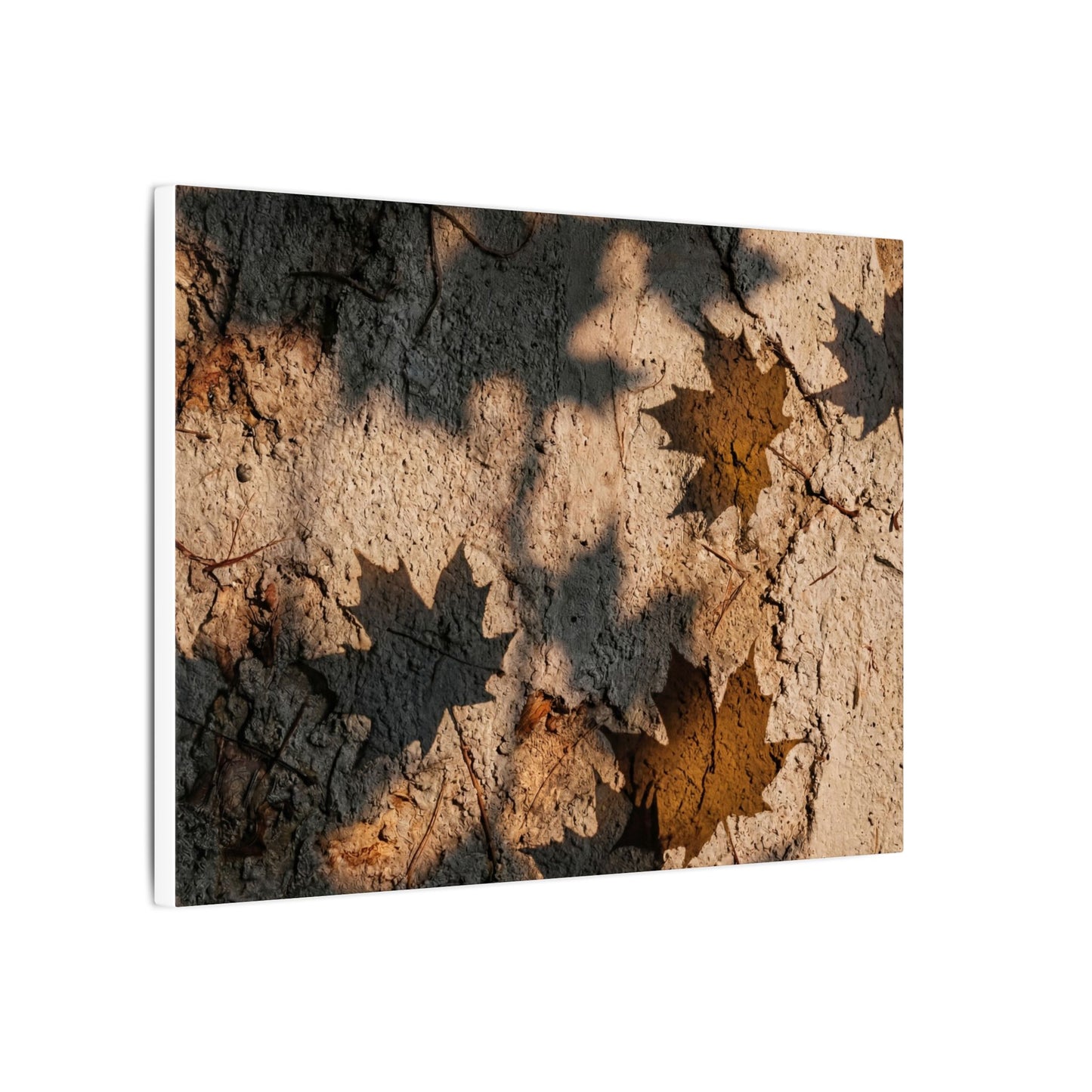 Cozy Shadow Play Canvas Art - Texture Japandi