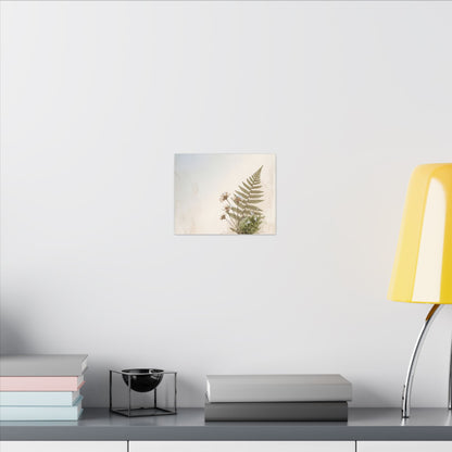 Winter Moss Close Up Herbarium Canvas Art | Enchanting Decor