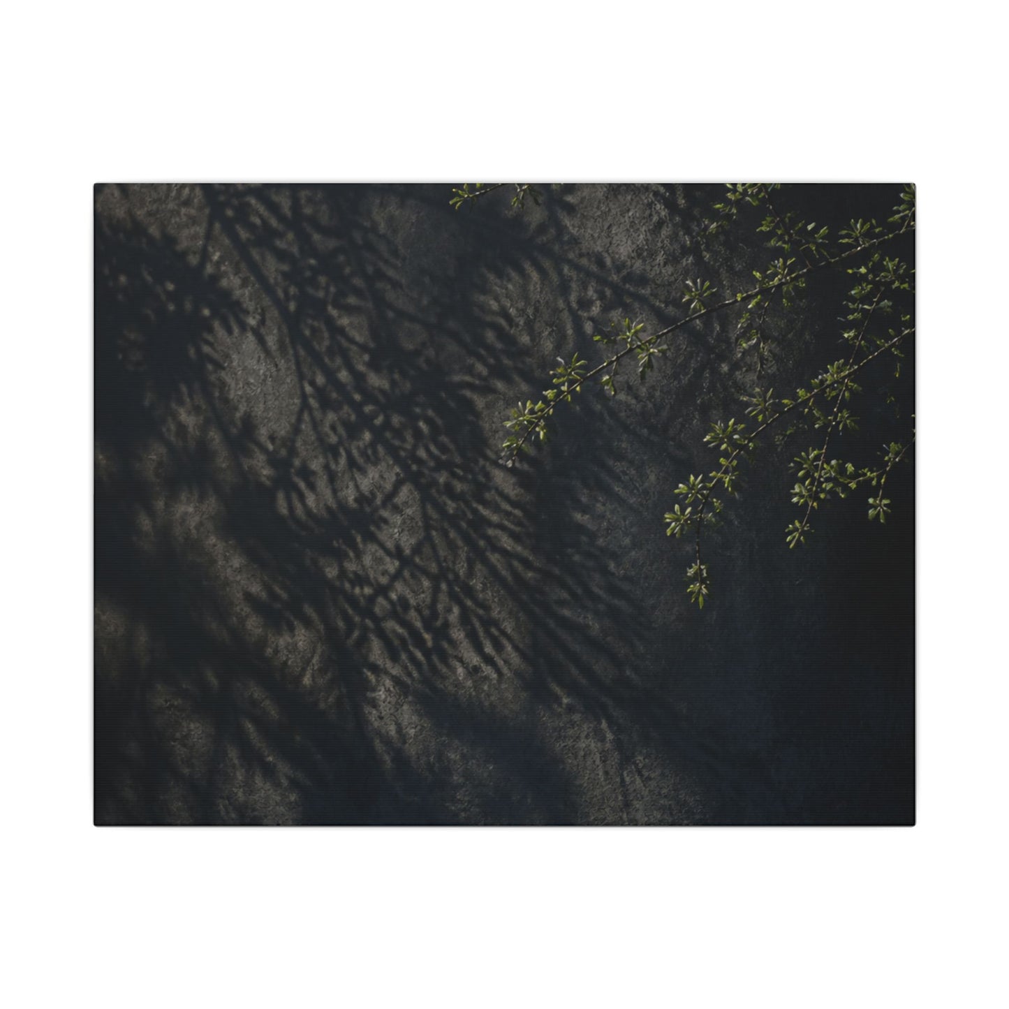 Overcast Shadow Play Canvas Art - Dark Japandi Seijaku
