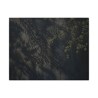 Overcast Shadow Play Canvas Art - Dark Japandi Seijaku