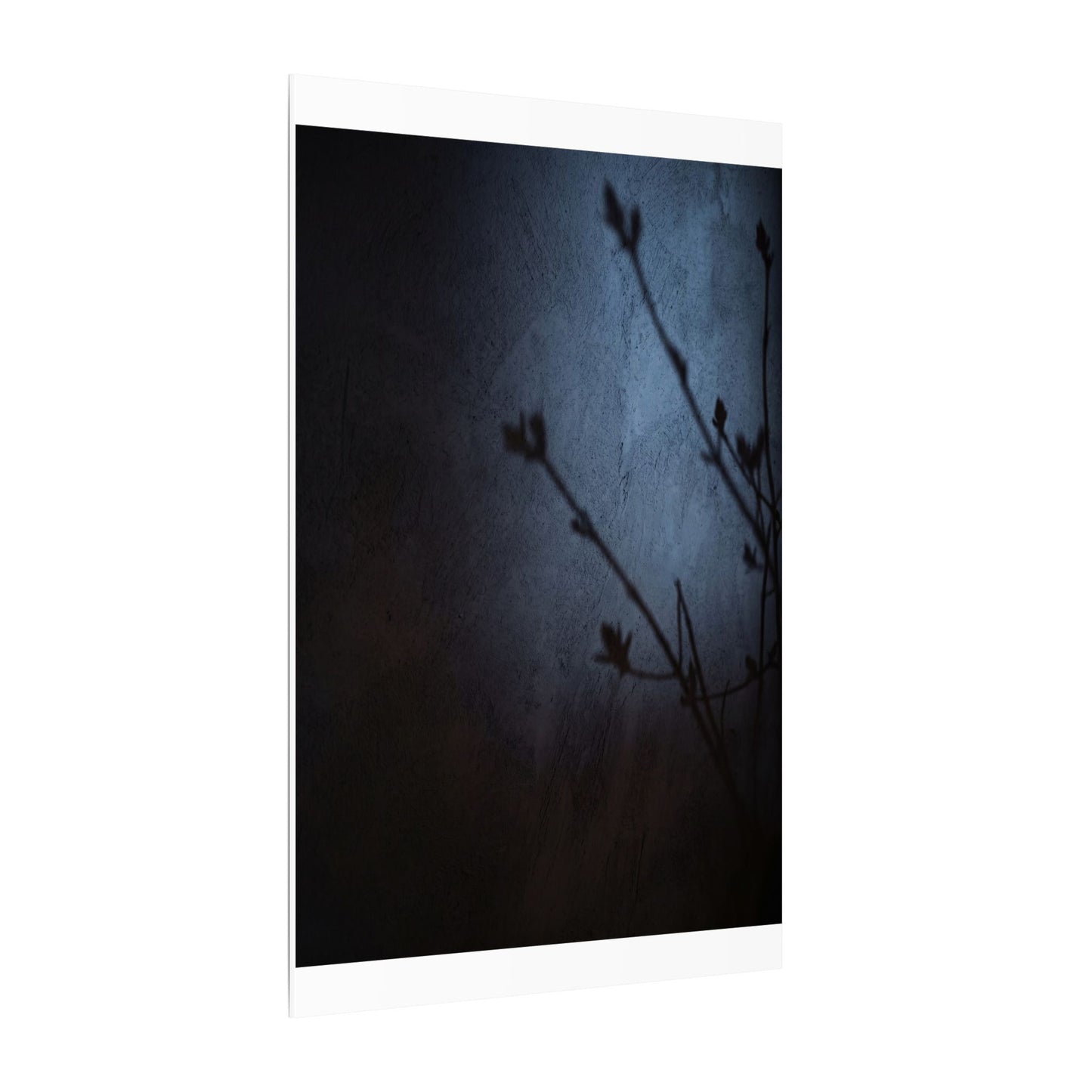 Shadow Play Canvas Art | Spring Dark Japandi Moody Minimal Art