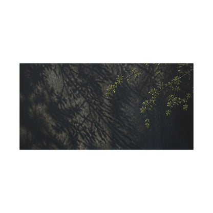 Overcast Shadow Play Canvas Art - Dark Japandi Seijaku