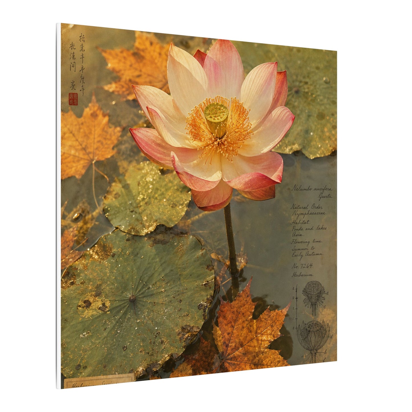 Autumn Lotus Flower Herbarium Canvas Art | Rustic Decor
