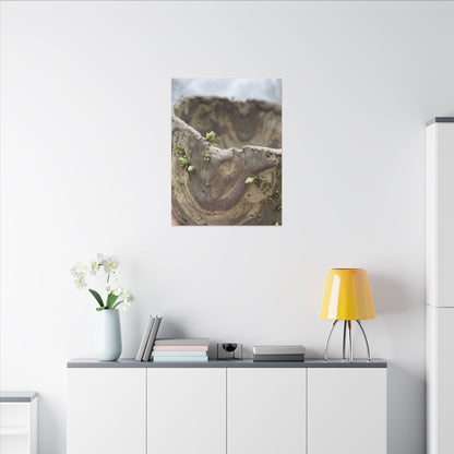 Overcast Ceramic Bowl Canvas Art - Japandi Fukinsei