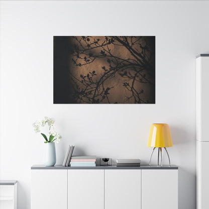 Dark Japandi Shadow Play in Golden Hour | Shadow Zen Canvas Art
