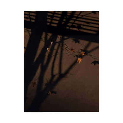 Autumn Shadow Play Shadow Zen Wall Art Print | Sophisticated Decor