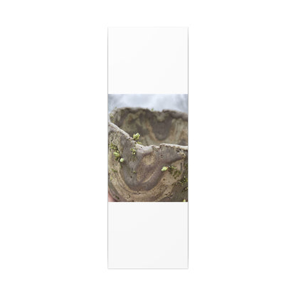 Overcast Ceramic Bowl Canvas Art - Japandi Fukinsei