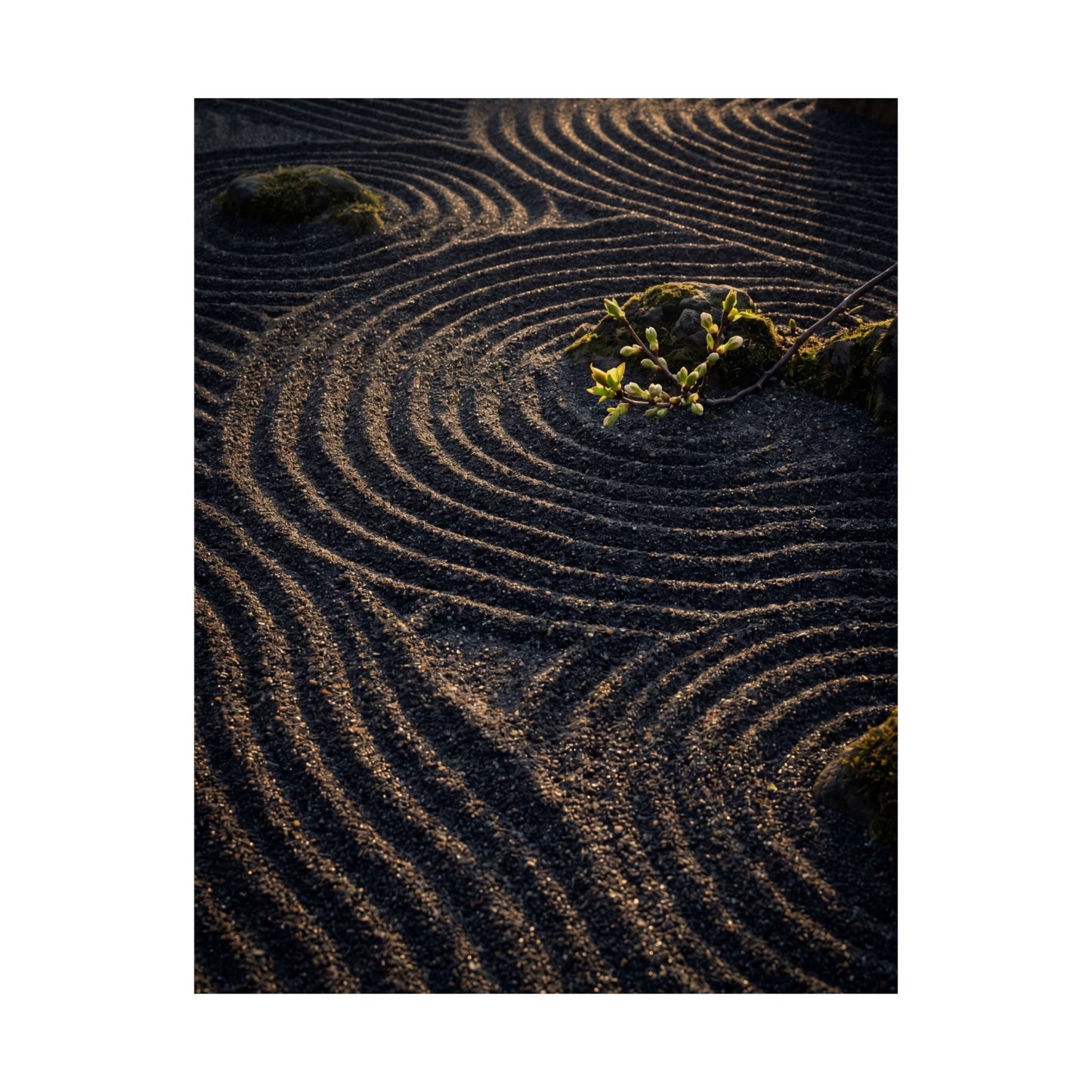 Rock Garden Shadow Zen Wall Art Print | Atmospheric Dark Japandi Art