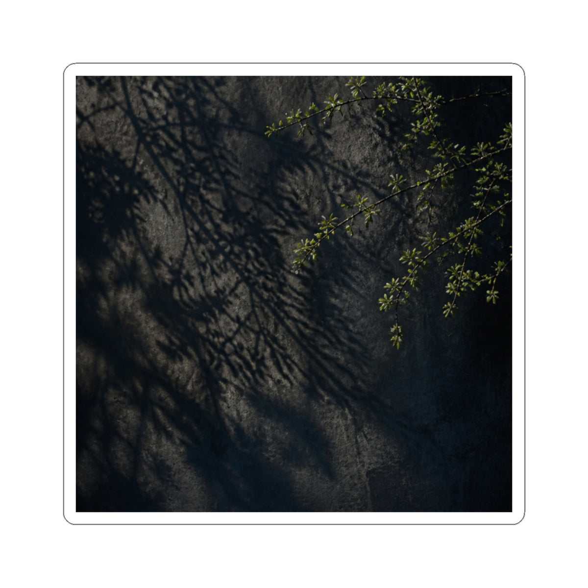 Overcast Shadow Play Sticker - Dark Japandi Seijaku