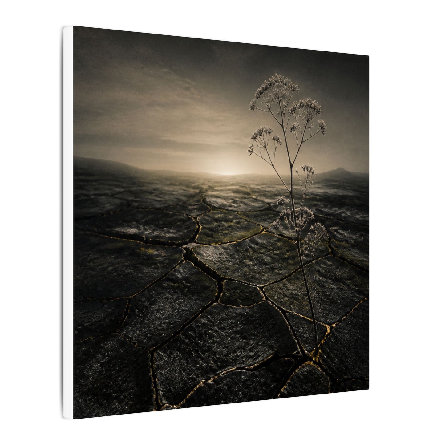 Dawn Cracked Earth Canvas Art - Dark Japandi Mono No Aware