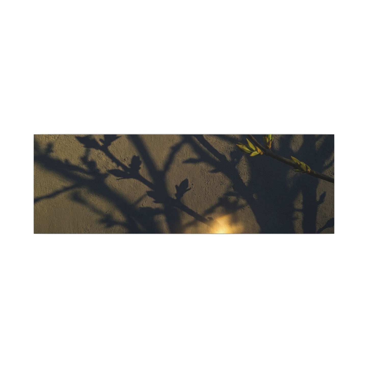 Bold Shadow Play Canvas Art - Moody Minimal Dark Japandi