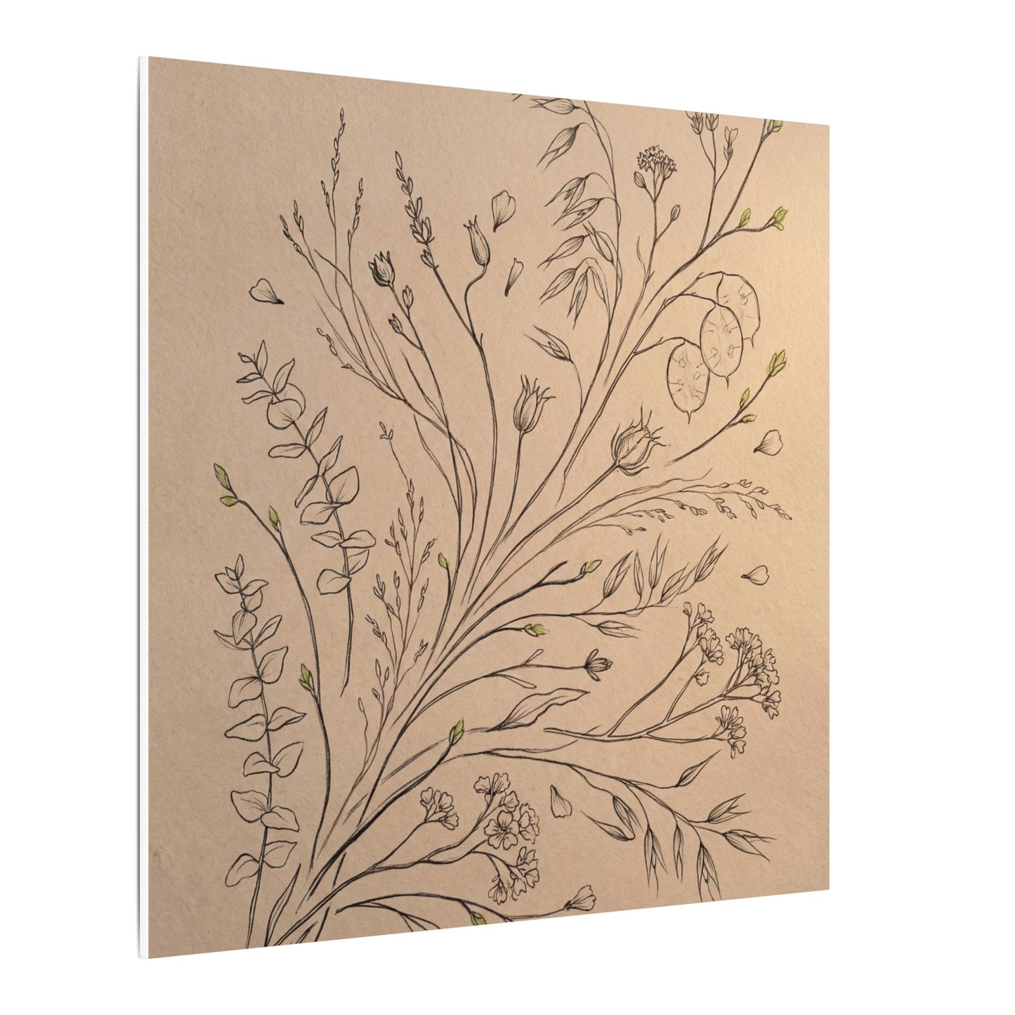 Dried Flowers Canvas Art | Spring Japandi Minimal Line Art