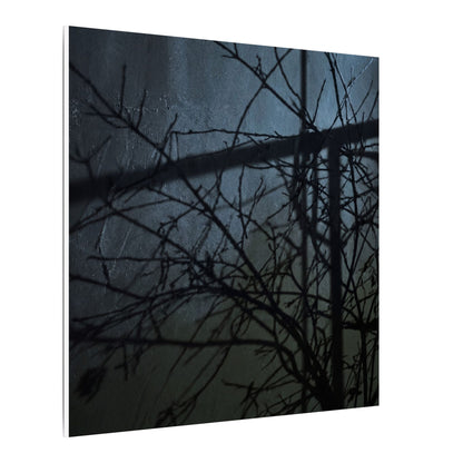 Moonlight Shadow Play Canvas Art - Dark Japandi Shibui