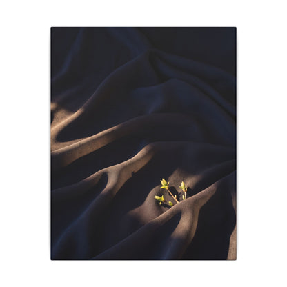 Silk Drape Shadow Zen Canvas Art | Luxurious Dark Japandi Art