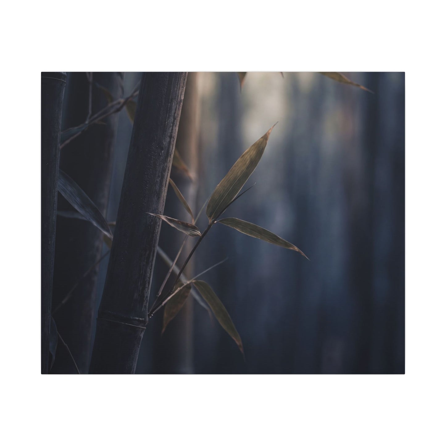 Dark Japandi Bamboo Grove in Dawn | Moody Minimal Canvas Art
