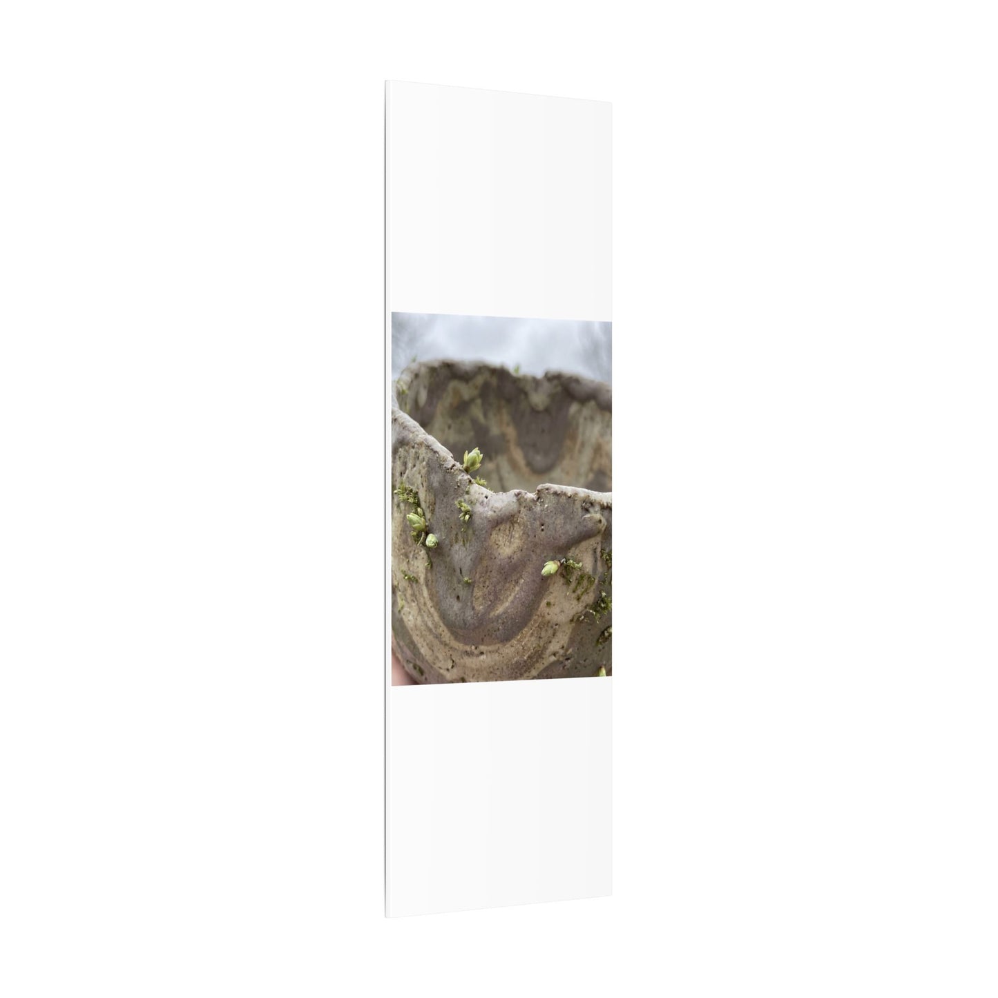 Overcast Ceramic Bowl Canvas Art - Japandi Fukinsei