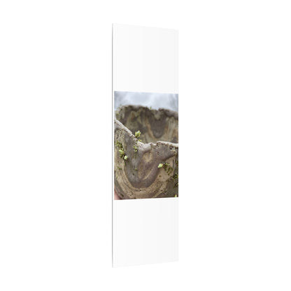 Overcast Ceramic Bowl Canvas Art - Japandi Fukinsei