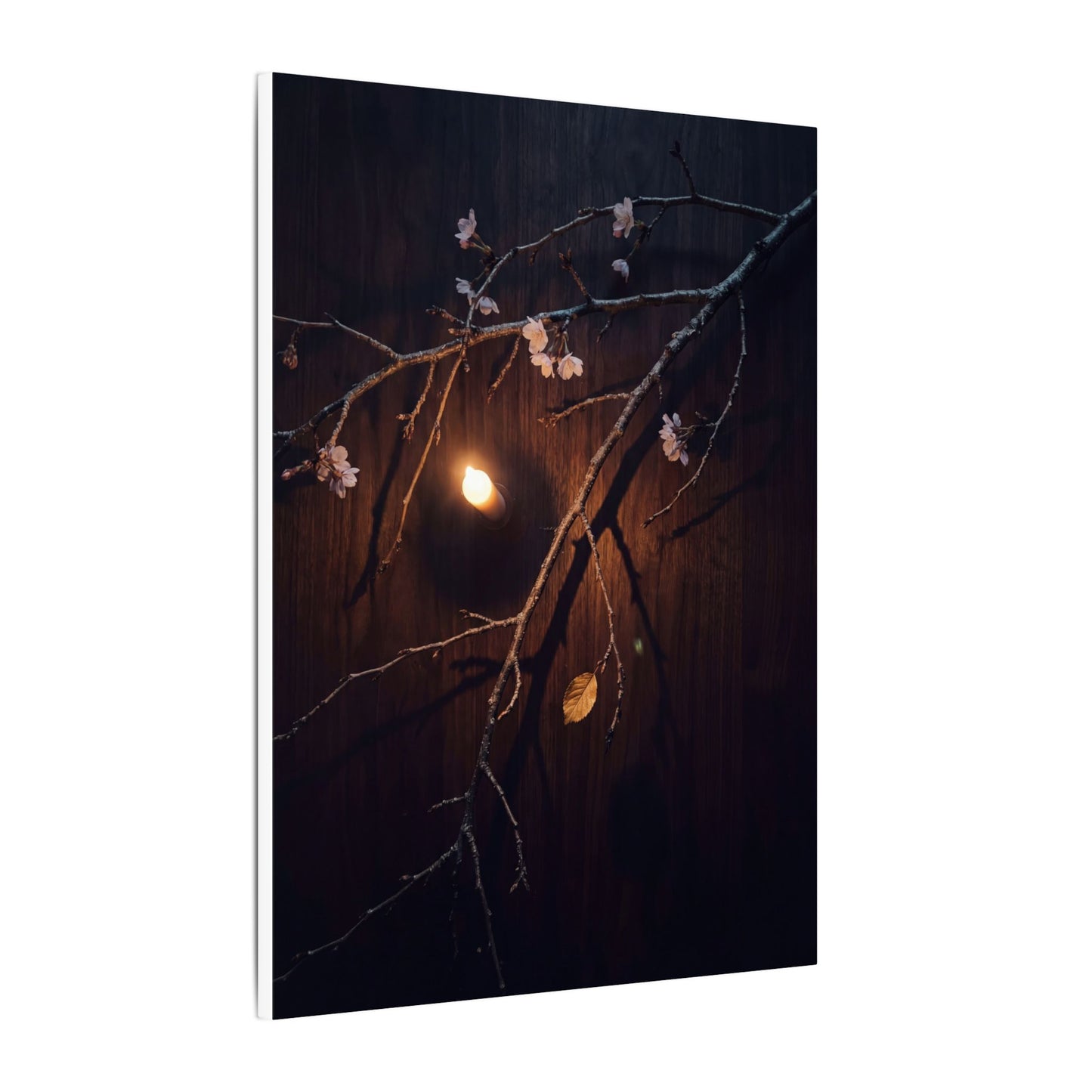 Datsuzoku Cherry Blossom Canvas Art - Dark Japandi Moody Minimal