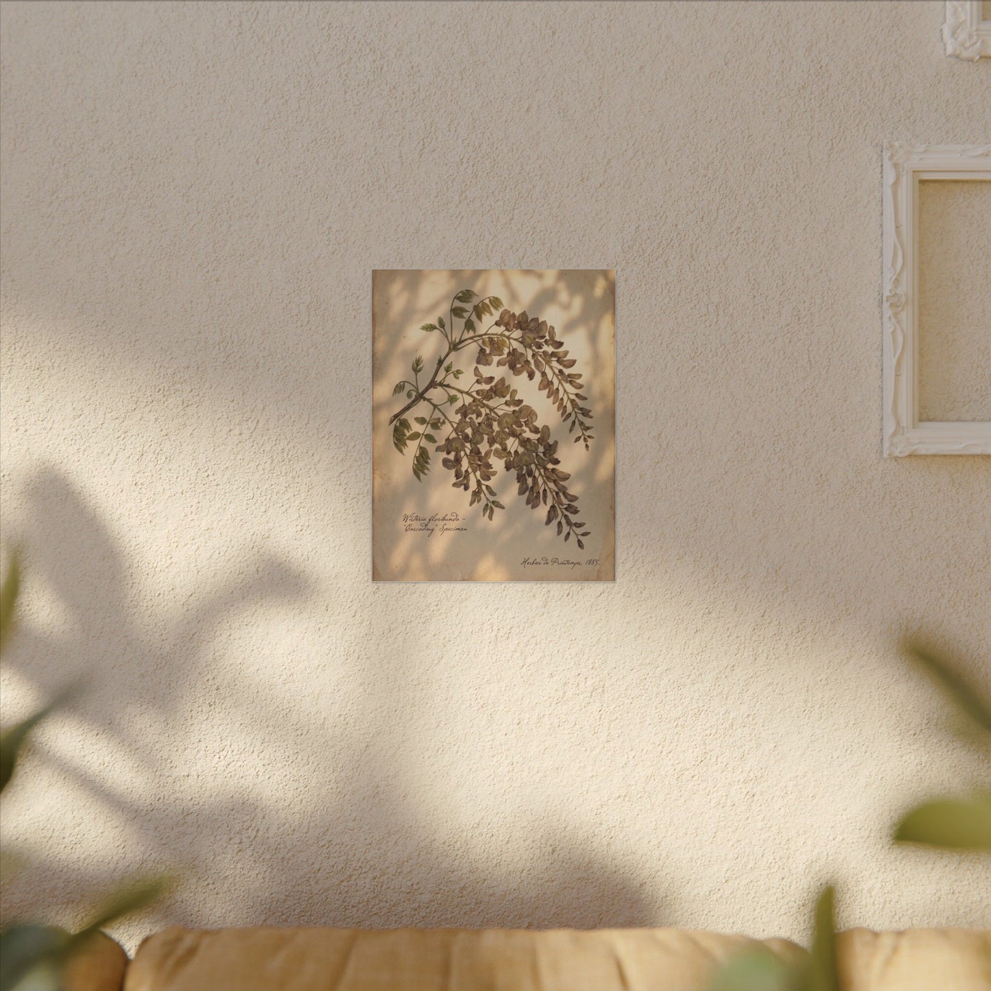 Spring Wisteria Herbarium Canvas Art | Earthy Decor