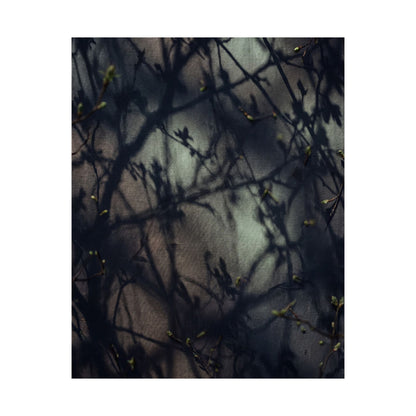 Spring Shadow Play Moody Minimal Wall Art Print | Sophisticated Decor