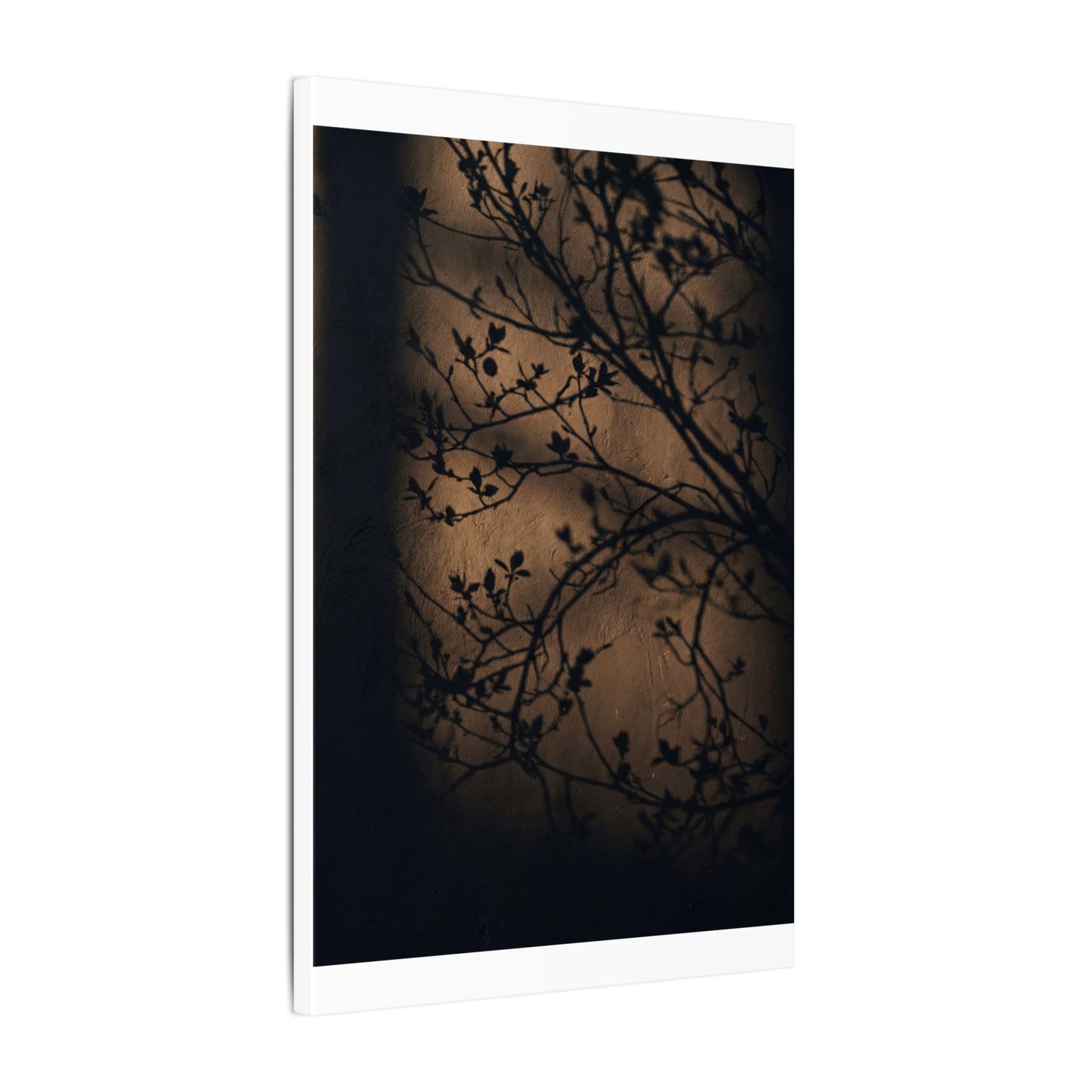 Dark Japandi Shadow Play in Golden Hour | Shadow Zen Canvas Art