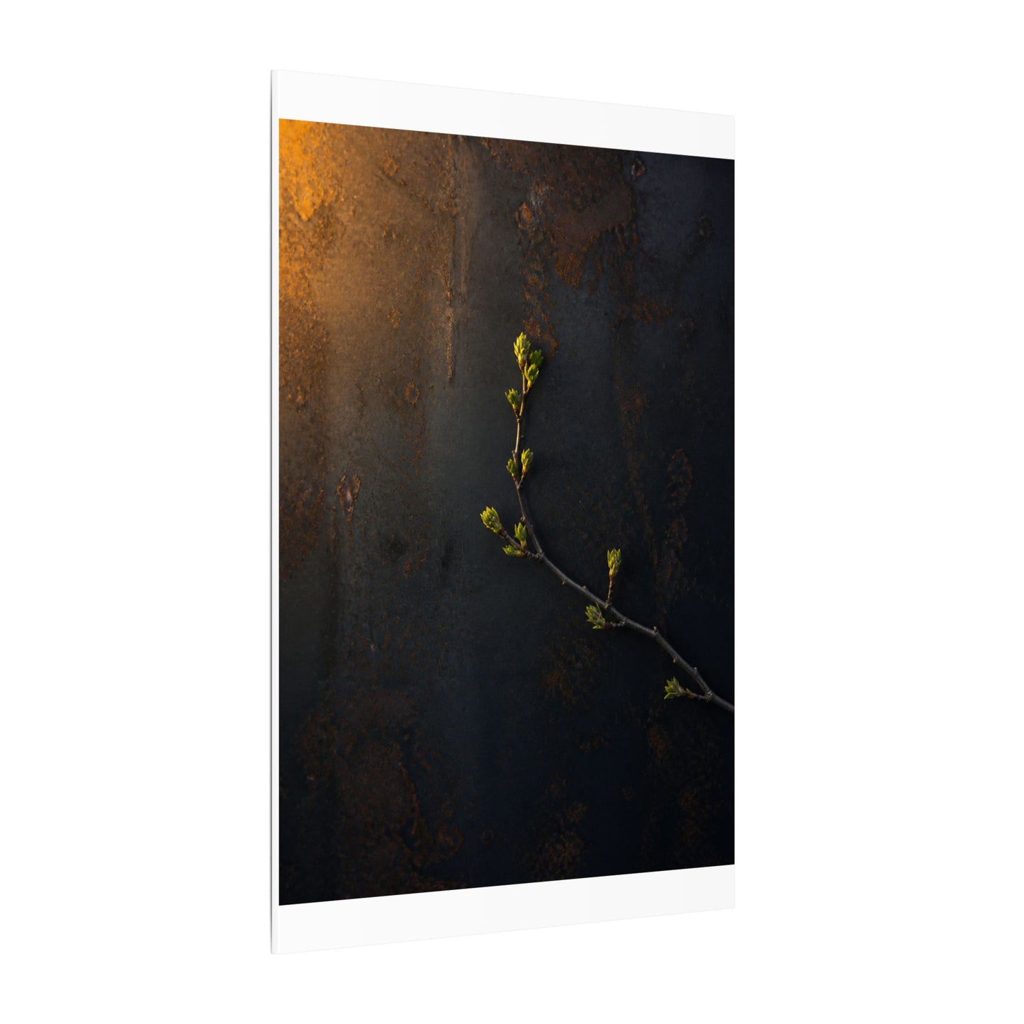 Dark Japandi Rust Patina in Golden Hour | Moody Minimal Canvas Art