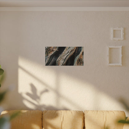 Silk Drape Winter Canvas Art | Japandi Cozy Design