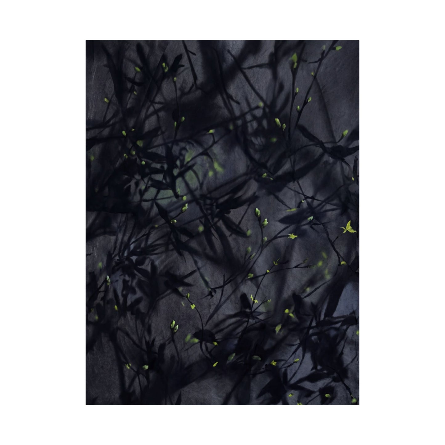 Atmospheric Shadow Play Wall Art Print - Shadow Zen Dark Japandi