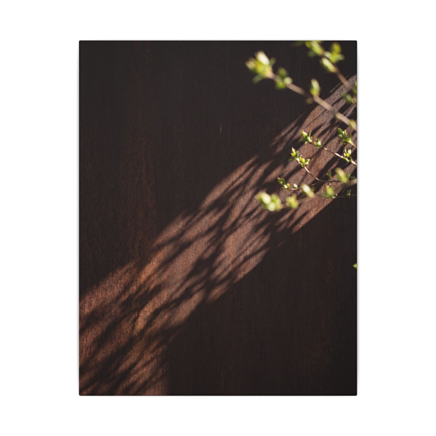 Rust Patina Moody Minimal Canvas Art | Sophisticated Dark Japandi Art