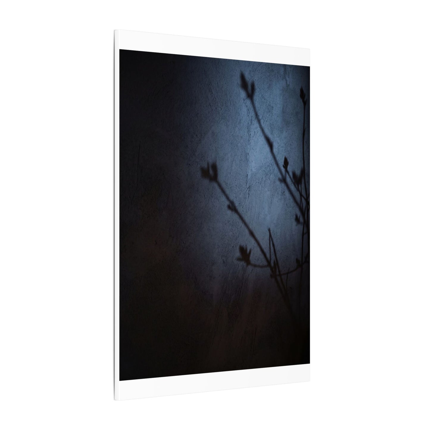 Shadow Play Canvas Art | Spring Dark Japandi Moody Minimal Art