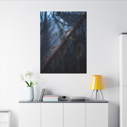 Rust Patina Canvas Art | Spring Dark Japandi Shadow Zen Art