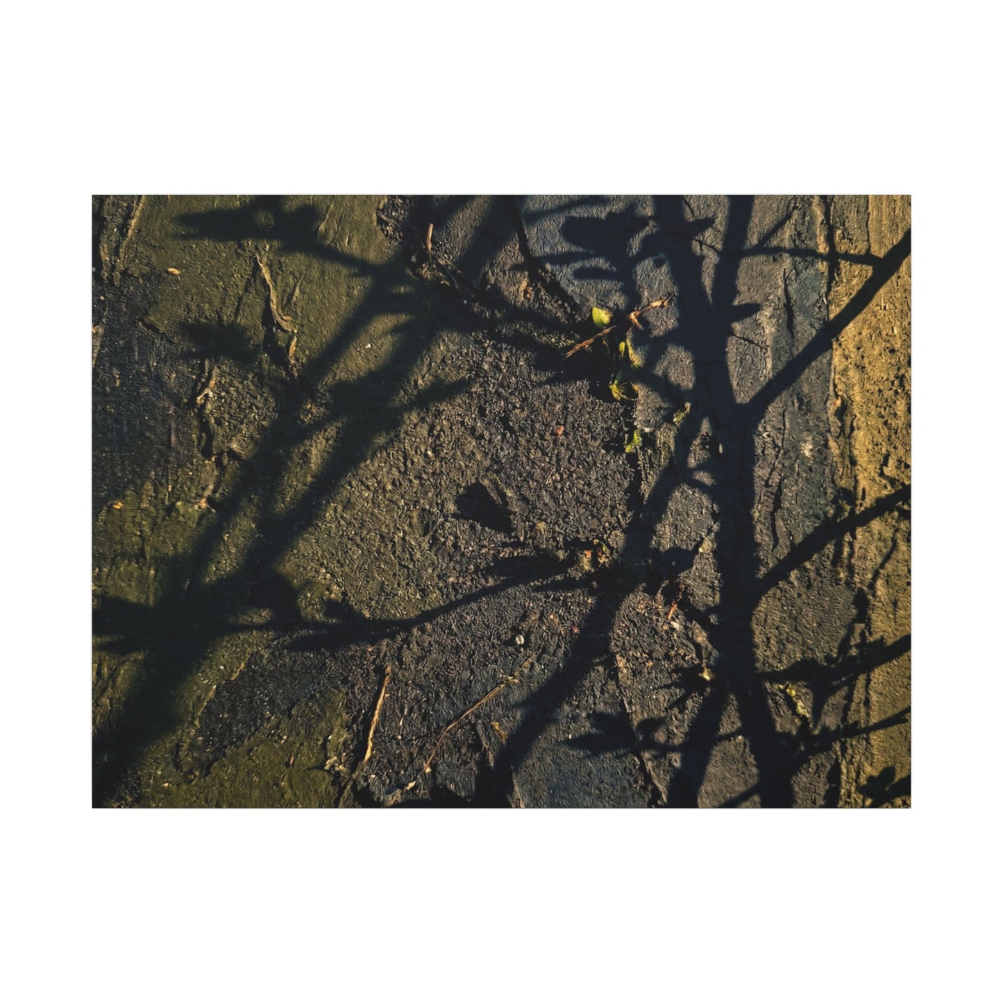 Kanso Shadow Play Canvas Art - Dark Japandi Dark Texture